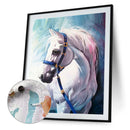 Fine Horse Oil Paint By Numbers Kit DIY Acrylic Painting on Canvas Frameless