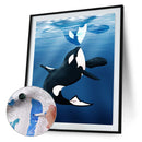 Killer Whale Oil Paint By Numbers Kit DIY Acrylic Painting on Canvas (B1471)