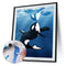 Killer Whale Oil Paint By Numbers Kit DIY Acrylic Painting on Canvas (B1471)