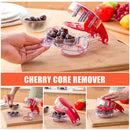 Cherry Pitter - Olive Seed Cherry Stone Pit Pitting Device with 6 Groove