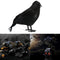 Halloween Stuffed Feather Crow Bird Black Ravens Fancy Prop Decor Home C9M2