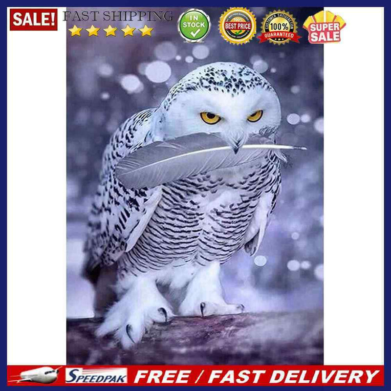 5D DIY Diamond Painting Bird Cross Stitch Embroidery Mosaic Kit Needlework