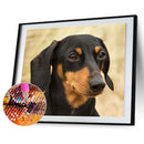 5D Diamond Painting Animal Full Round Drill Rhinestone DIY Art Mosaic Pictu