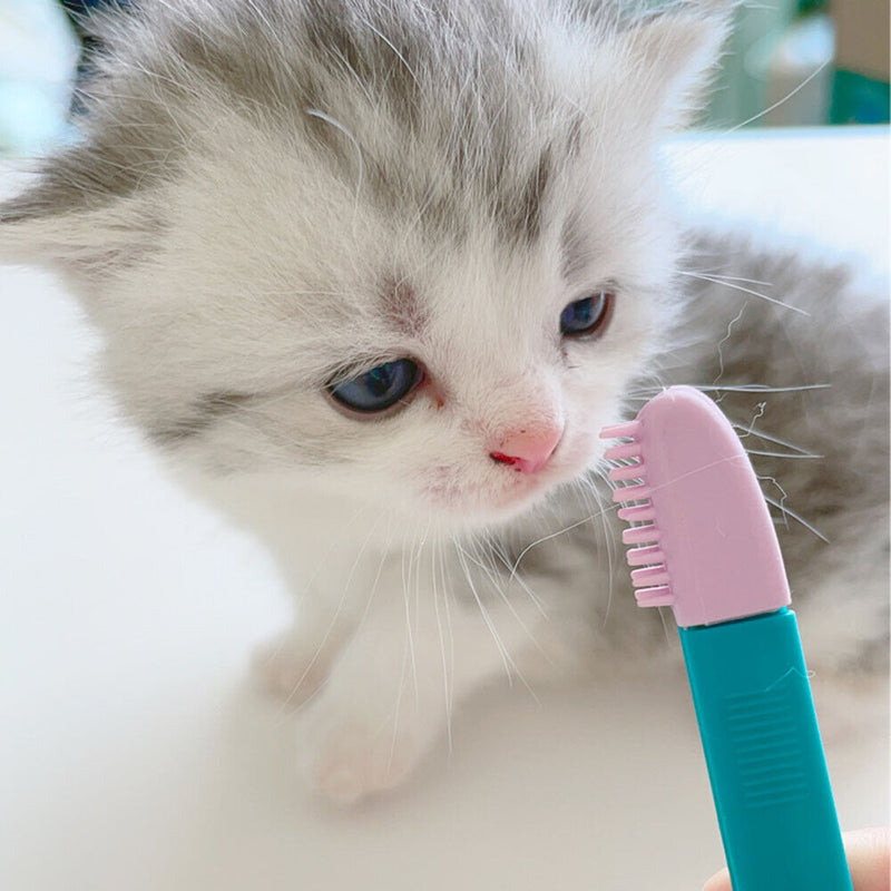 Pet Eyes Corner Brush Eyes Tear Stain Mucus Comb Cleaning Tool Pets Products