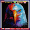 Eagle Frameless Picture Oil Paint By Numbers Hand Painted Picture for Bedroom