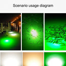 12V LED Fishing Trapping Attracting Lamp Lure Indicator Night Glowing Fish Lamp