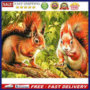 5D Diamond Painting Kit DIY Squirrels Full Round Drill Mosaic Home Decoration