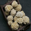 1/4 lb Bulk Desert Rose Selenite Stones Crystal Healing 4 Bud Stone) oz X5O1