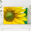 1000pcs DIY Yellow Sunflower Puzzle Educational Learning Assembling Jigsaw