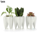 Cute Tooth Shaped Ceramic Succulent Cactus Flower Pot Furnishings` Home T2D9