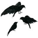 Simulation Animal Decorative Props Black Simulation Crow Feather Crow Halloween