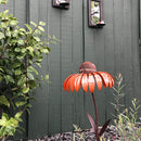Bird Feeder Container Flower Sensation Orange Coneflower Metal Bird Feeder
