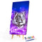 White Tiger Oil Paint By Numbers DIY Handpainted on Canvas Wall Picture Crafts
