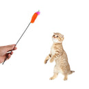 Feather Toys Kitten Funny Rod Wand Toys Cat Interactive Stick Pet Supplies
