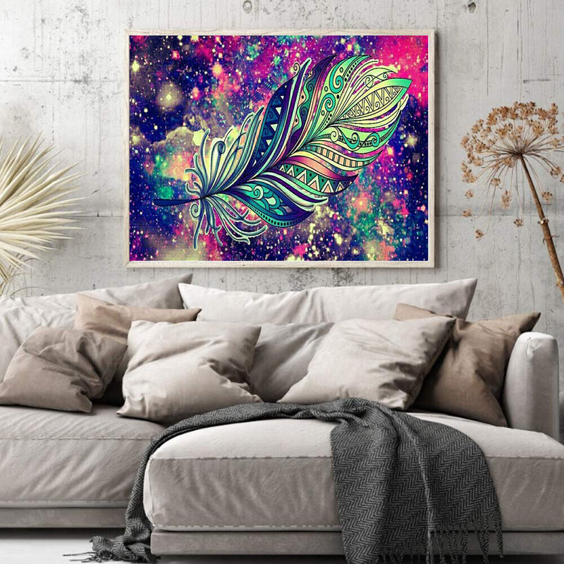 Oil Paint By Numbers Picture DIY Painting Colorful Feathers Drawing on Canvas