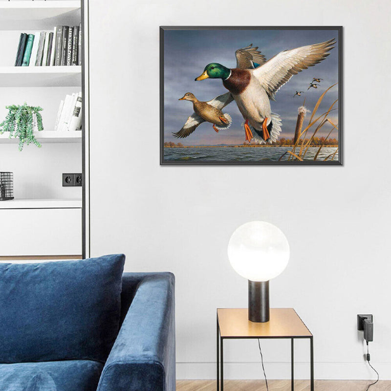 Wild Duck on Lake Oil Paint By Numbers Kit DIY Acrylic Painting on Canvas D