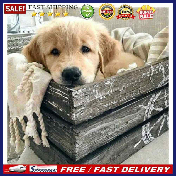 Oil Paint By Numbers Small Animal Frameless Picture Craft Kit for Living Room