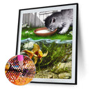 5D DIY Diamond Painting Kits Full Round Drill Playing Cat Mosaic (L3181)