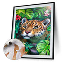 Beast Oil Paint By Numbers DIY Handpainted on Canvas Wall Art Picture Unframed
