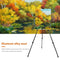 63 inch Artist Easel Adjustable Aluminum Alloy Easel with Carry Bag (Black)