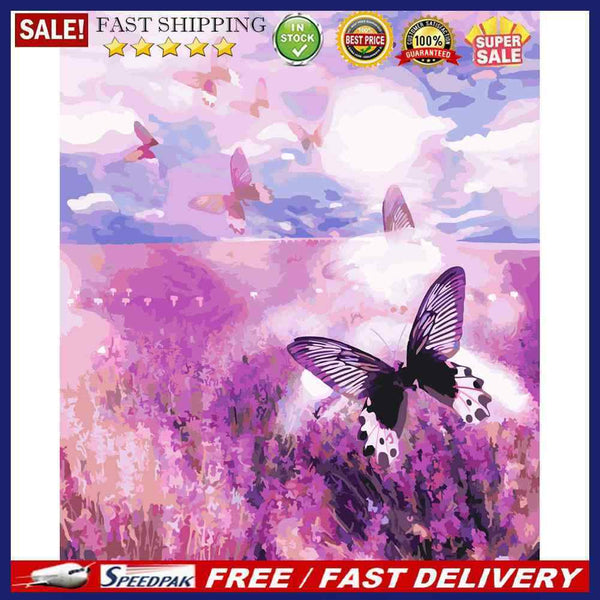 Butterfly 40x50cm Oil Paint By Numbers Picture DIY