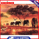 Painting By Numbers DIY Elephant Hand Painted Canvas Oil Art Craft Home Decor