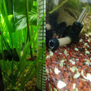 Plastic Aquarium CO2 Diffuser Tessellator Dual Suction Cup Atomizer (L) Newly