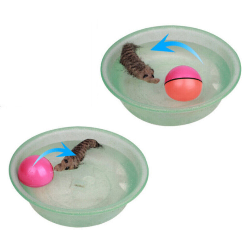 Electric Beaver Weasel Rolling Ball Chasing Claws Bite Toys for Pet Cat Random