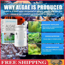 50g Aquarium Algae Repellent Agent Fish Tank Pond Moss Remover with Spoon UK