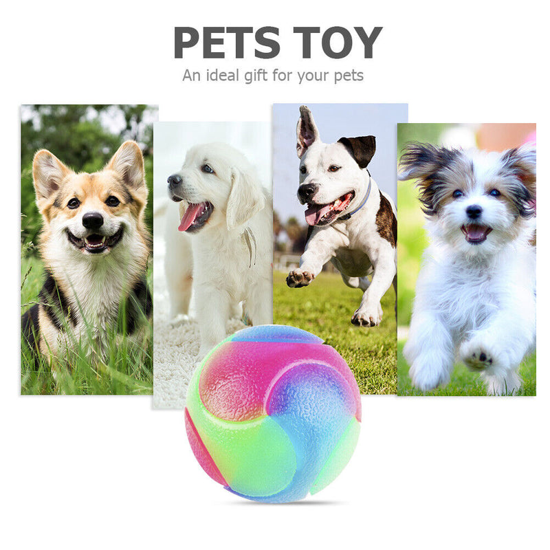 Flashing Elastic Teddy Dog Rubber Ball Pet Color Durable Interact Light up