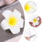 Women Girl Simulation White Plumeria Hairpin Beach Seaside Hair Clip Flower