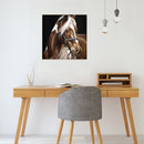 5D DIY Diamond Painting Horse Full Round Drill Mosaic Art Picture of Rhinestone