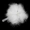 Decoration Star Xmas Ornament White Feather Pendant Christmas Tree Hanging