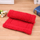 Plush Pet Hamster Cushion Mat Squirrel Warm Blanket Guinea Pig Bed Pad(Red)