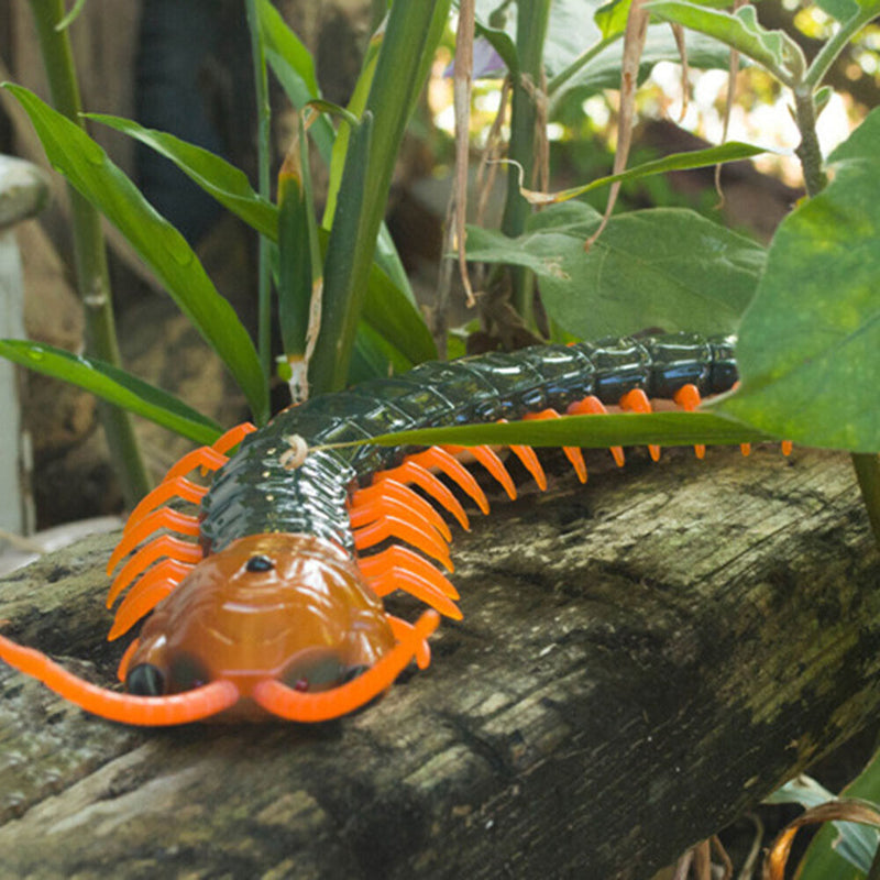 RC Remote Control Centipede Cat Interactive Toys with Egg Eletronic Kitten