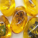 Beautiful Amber Hornet Fossil Insects Manual Polishing Decor O8N5