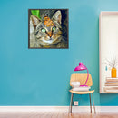 5D DIY Diamond Painting Kits Cat Full Round Drill Animal Decor Wall Crafts