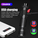 Zoomable 365nm LED UV Lights Torch Aluminum Alloy USB Charging Scorpion Lamps