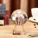 Acrylic Display Stand Crystal Ball Display Stand Minerals Relics Rocks Holder