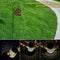 Decoration Kettle Shower Lamp Iron Art Watering Can String Light Waterfall Lamp