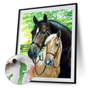 Fine Horse Oil Paint By Numbers Kit DIY Frameless Drawing Picture for Adults