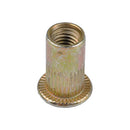 Head Zinc Plated Threaded Rivet Insert Nut Tool Set Rivet Nut Kit Nutsert Cap