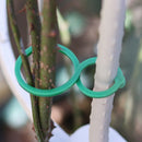 Garden Plant Vine Support Binding Clip Gardening Greenhouse Clip (L 50pcs) Newly