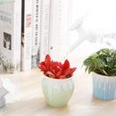 YouN Irrigation Bottle Top, Sprinkler Nozzle Irrigation Bottle Water Cans for