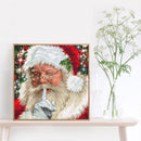 Full Embroidery Kits Santa Claus 11CT Stamped Art Needlework Home Decorations