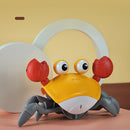 #A Tummy Time Crawling Crab Avoid Obstacles Interactive Crawling Crab Birthday G
