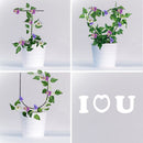 Metal Flower Vegetables Plant Support Fixing Rod Climbing Holder Climbing Frame