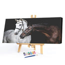 Two Horses Oil Paint By Numbers Kits DIY Handpainted on Canvas Gift Unframed