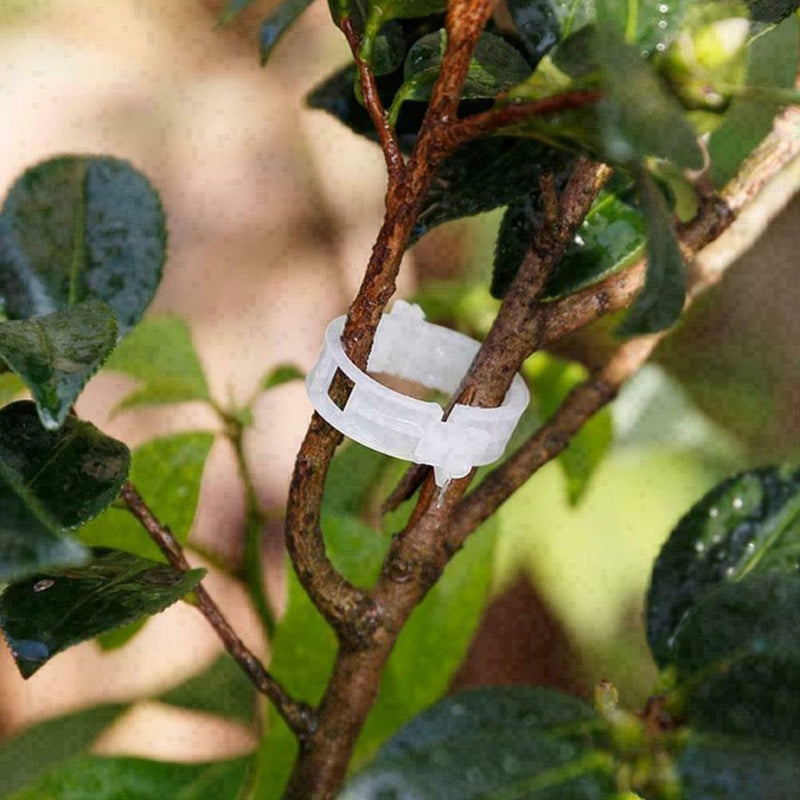 Plant Vine Fixing Clamp Hanging Seedling Clamp Gardening D8R1 U1C0 Fixing K5F4