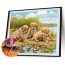 5D DIY Diamond Painting Kits Puppy Full Round Drill Wall Decor Art Crafts Mosaic